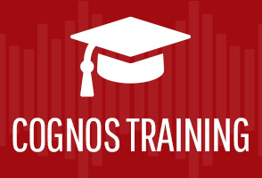 Performance G2 - IBM Cognos Training