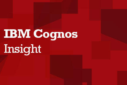 IBM Cognos Insight